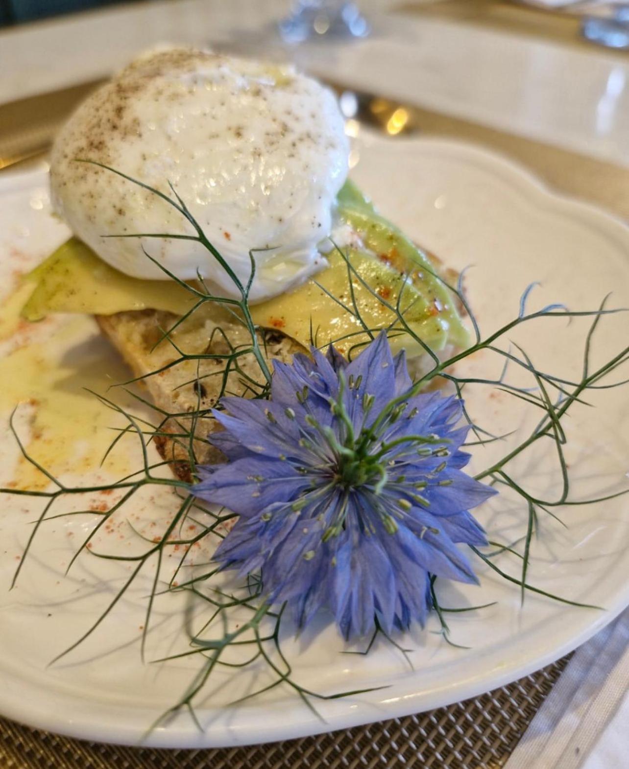 Blumen Hotel Boutique Canela Eksteriør bilde